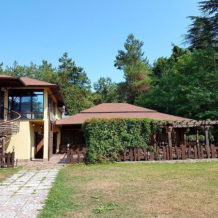 Guest House Black Sea Пицунда Екстериор снимка